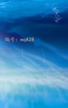 ˫