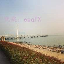ĺ֮